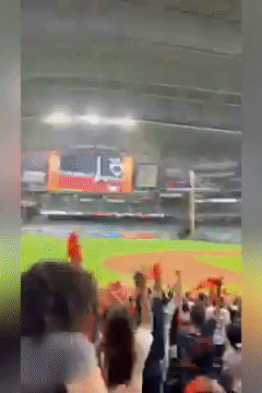Astros Fans Celebrate Game 5 Win