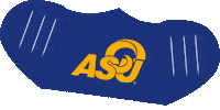 Angelostate Sticker by Angelo State University