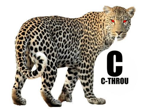 eyes leopard Sticker by CTHROU