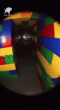 Play Place GIF