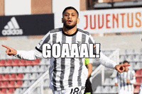 Celebration Goal GIF by JuventusFC