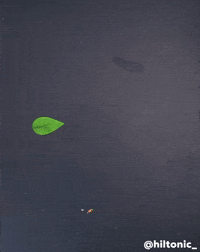 Stop Motion Falling GIF by Evan Hilton