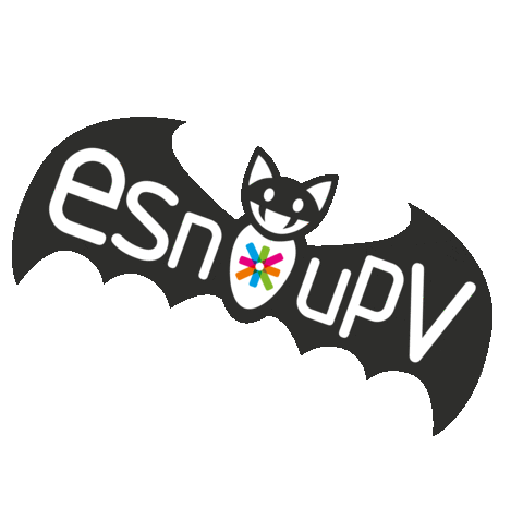valencia esnspain Sticker by Erasmus Student Network Spain