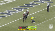 Arizona Cardinals Football GIF by NFL