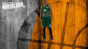 Basketball Player GIF by Basket_fi