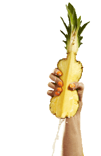 Plant Based Food Sticker by the notco