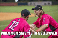 floflamingos teammates hot pink florence flamingos floflamingos GIF
