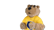College Sports Sport Sticker by WVU Tech Golden Bears