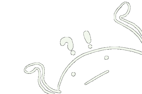 白 What Sticker