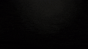 Fitness Gym GIF by Brooklyn Fitboxing
