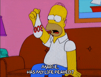 homer simpson episode 6 GIF