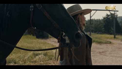 Horse Billythekid GIF by MGM+