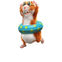 Summer Sticker by Albert Heijn Dokkum