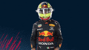 Red Bull Sport GIF by Red Bull Racing Honda