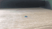 Plastikiller fire stopmotion claymation plasticine GIF