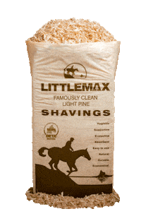 Bedmax bedmax horsebedding littlemax Sticker