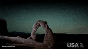 america wild GIF by Go USA Kr