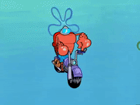 season 6 GIF by SpongeBob SquarePants