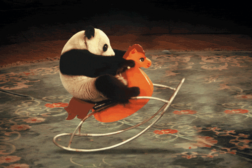 panda orange GIF