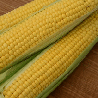 GIF by AGCO