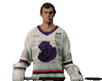 Hockey Sticker by Youngstown Phantoms