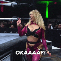 Wwe Support GIF