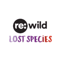 Endangered Species Wildlife Sticker by Re:wild