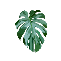 Tree Plant Sticker