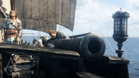 Black Flag Fight GIF by Assassin's Creed