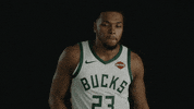 lets go milwaukee bucks reaction pack GIF by Milwaukee Bucks
