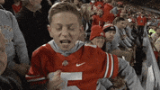 College Football GIF by Ohio State Athletics