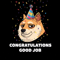 Shiba Inu Good Job GIF by Doge Pound