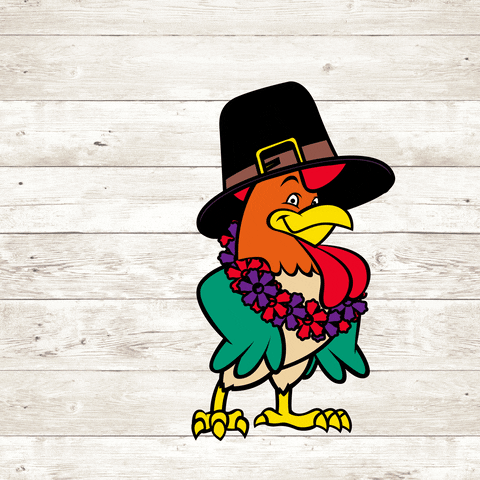 Thanksgiving Rooster GIF by Team Phun