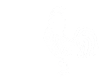 Coffee Morning Sticker by Gallito Cold Brew