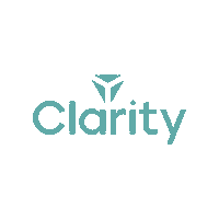 Clarity_Conf clarity design systems clarity 2021 Sticker