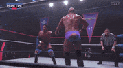 Cwfh GIF by United Wrestling Network