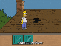 homer simpson GIF