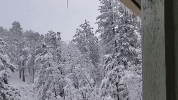 Authorities Warn Against Travel as Winter Storm Impacts Northern Arizona