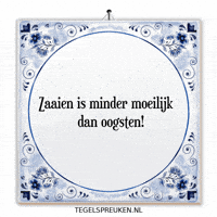 Humor Wijsheid GIF by Tegelspreuken.nl