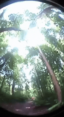 Jilly GIF
