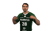 hsgwetzlar handball-bundesliga wagner wetzlar hsg wetzlar Sticker