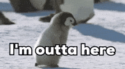 Im Out Time To Leave GIF