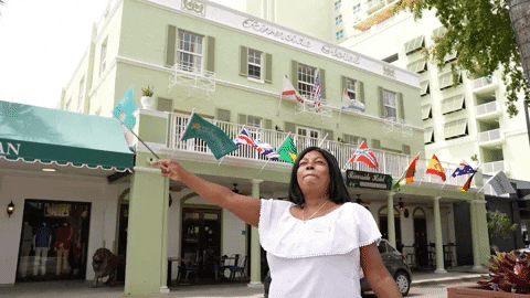 ssyed26 giphyupload GIF