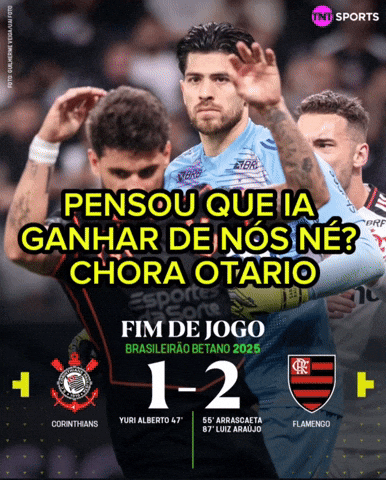 Flamengo Vs Corinthians GIF