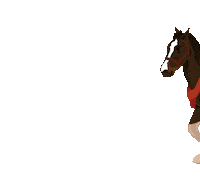 Fx Bill Sticker by WebFX