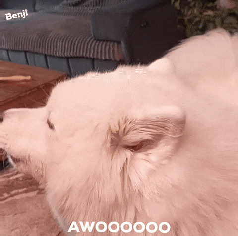 Dog Barking GIF