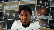 Georgia Tech Football GIF by Georgia Tech Yellow Jackets