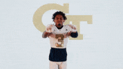 Georgia Tech Football Sport GIF by Georgia Tech Yellow Jackets