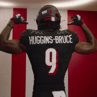 College Football GIF by Louisville Cardinals