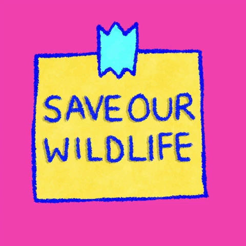 Save Our Wildlife